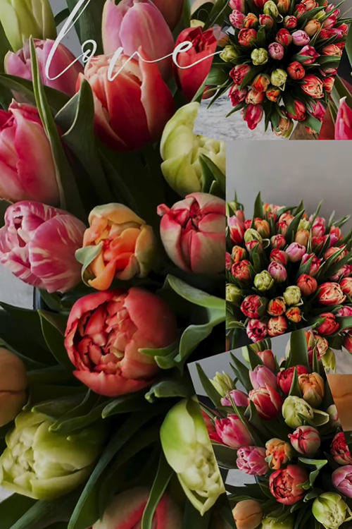 Bilder Fleuriste de la Halle