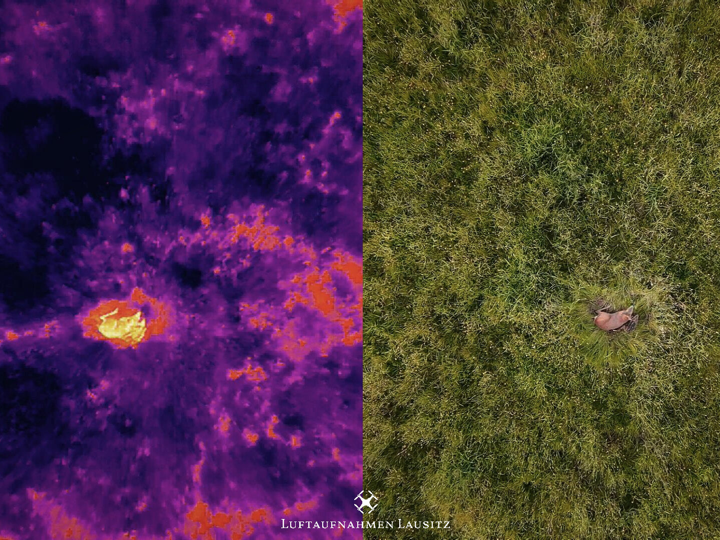 Luftaufnahmen Lausitz, Dresdener Straße 35 in Luckau