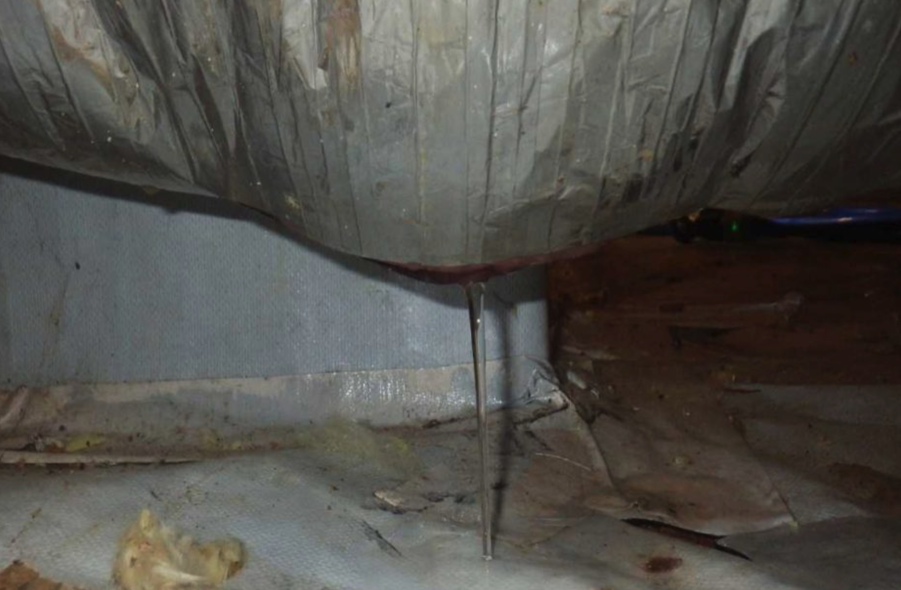 Water Damage in Crawl Space