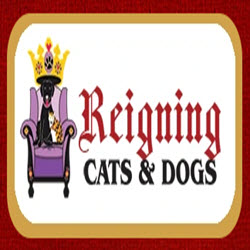 Images Reigning Cats & Dogs