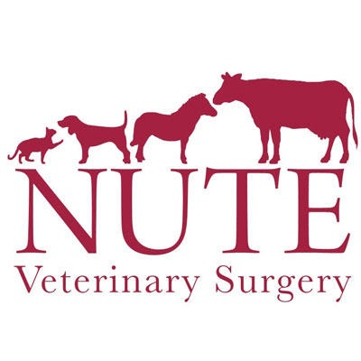 Nute Veterinary Surgery - Wadebridge Logo