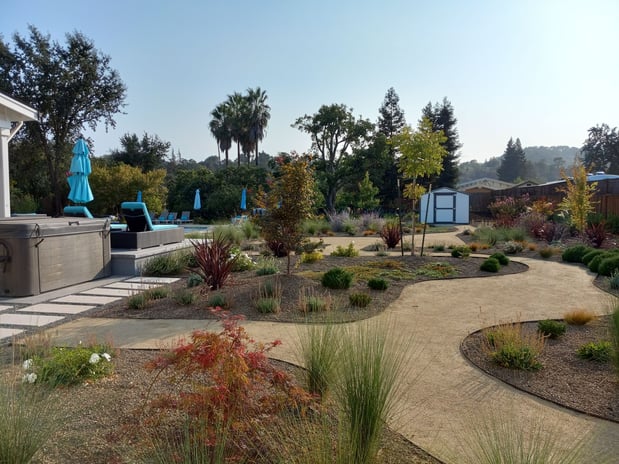 Images Paz Landscape