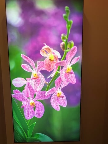 Images Massage Envy - Herndon-Reston