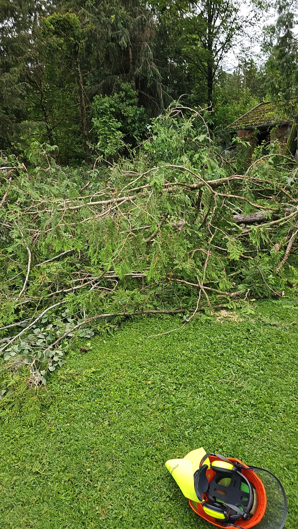 Alles rund ums Haus & Holzfällungen, Oberholzham 25 in Bruckmühl