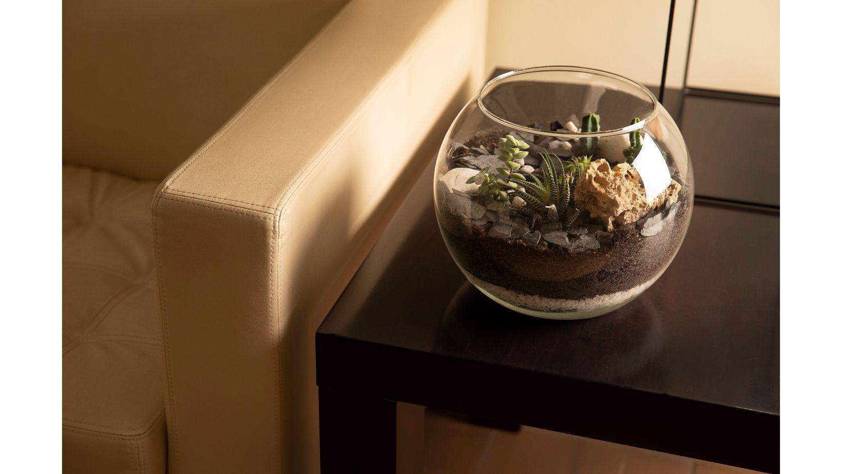 Cementiri Comarcal Roques Blanques 35