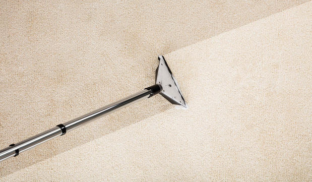 Images Steve's Carpet Cleaning