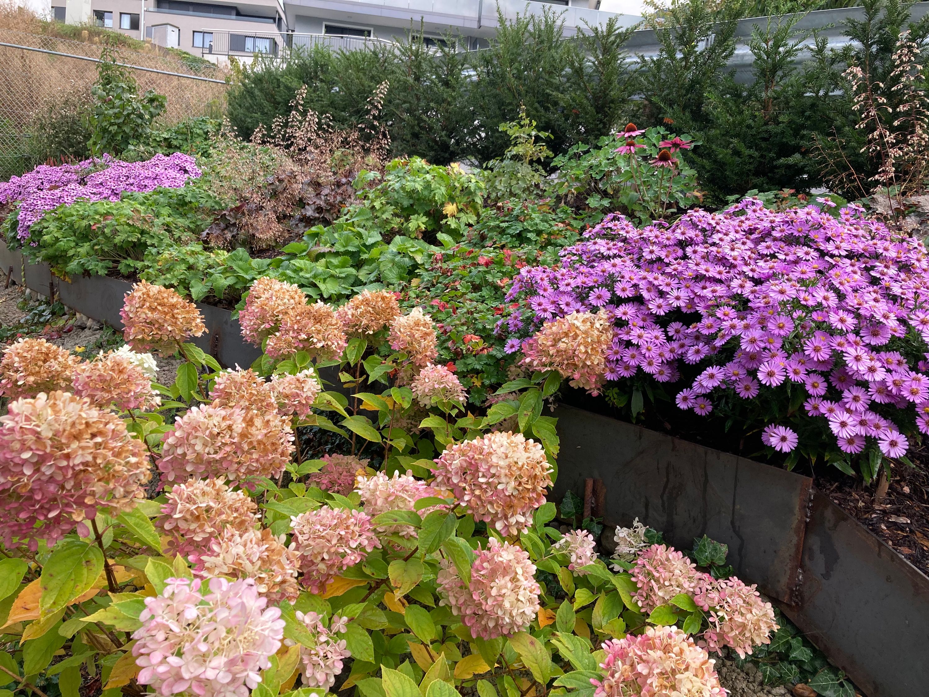 Bilder zehnder-garten GmbH