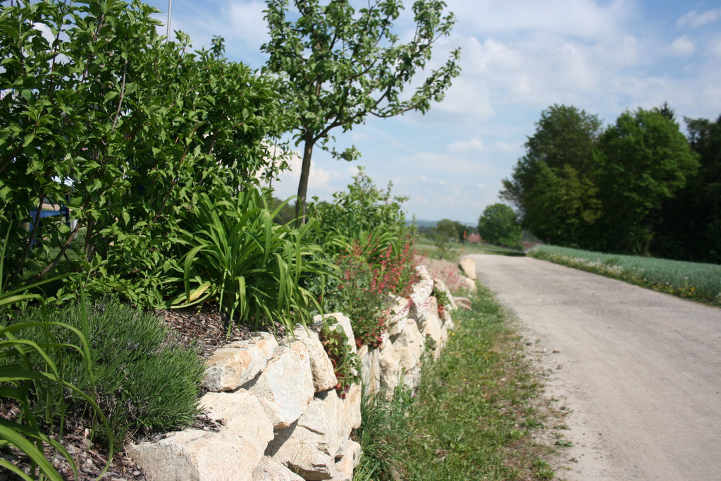 Bild 11 von Gartengestaltung Schinagl GmbH