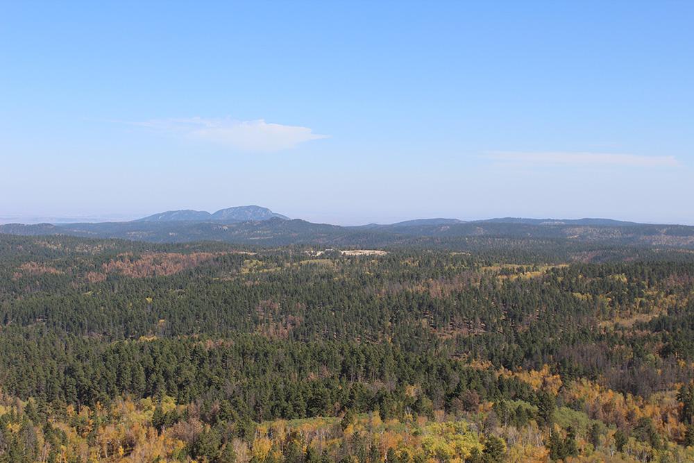 Mystic Pines Lodging of the Black Hills
