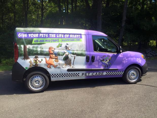 Images Life of Riley Pet Care