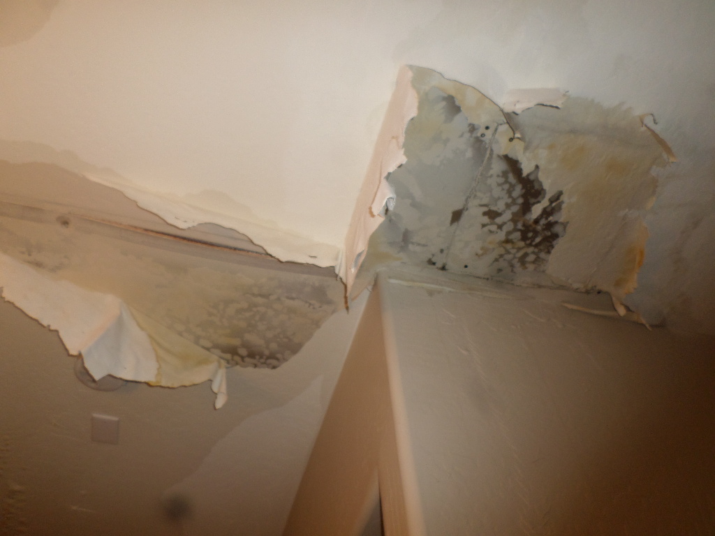 Ceiling damage after a water loss.