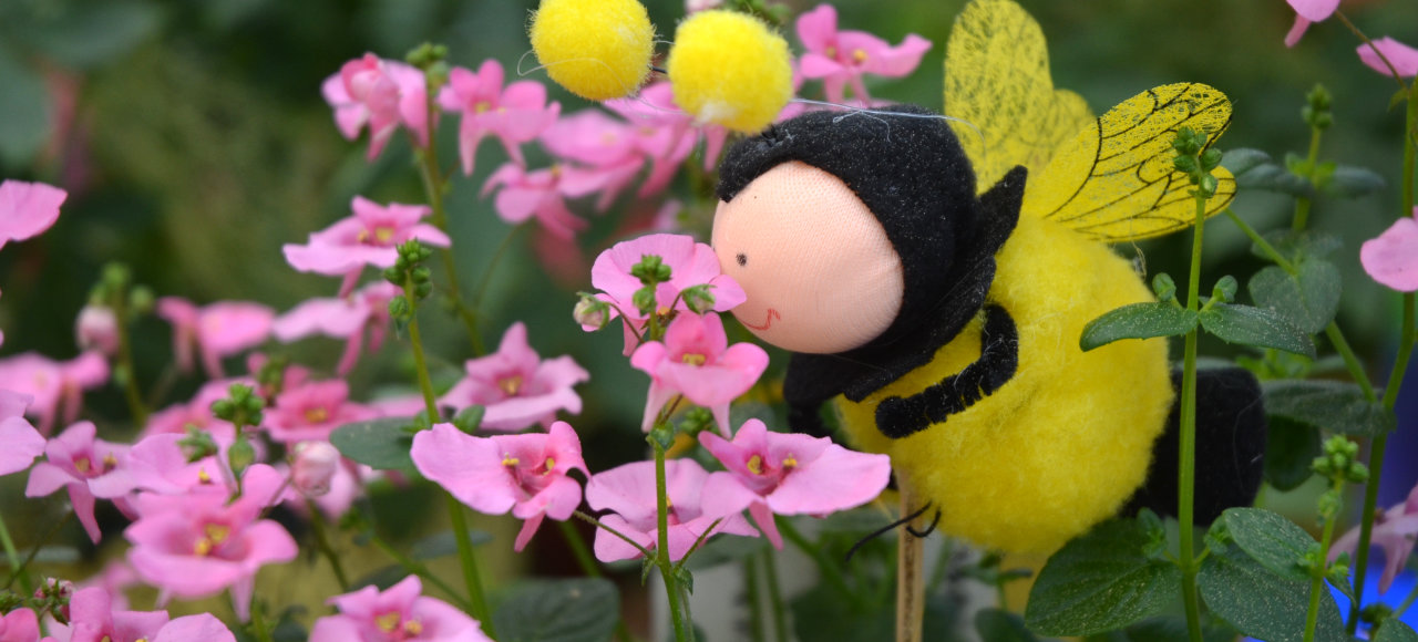 Bild 5 Gärtnerei Pichler GbR in Ainring