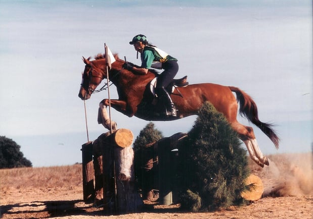 Images Empire Equine