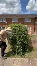 Images Platoon Pest Control