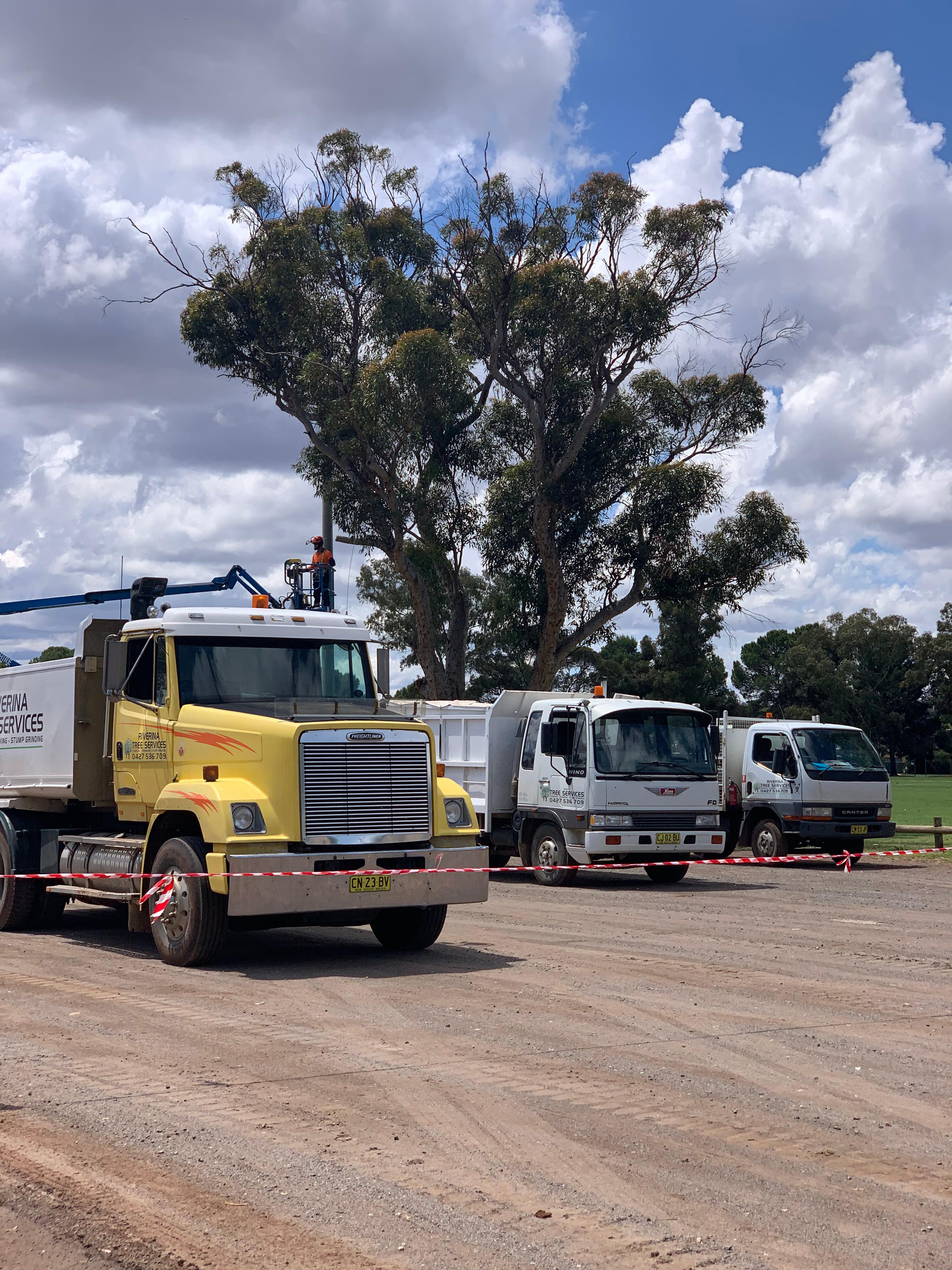 Images Riverina Tree Services