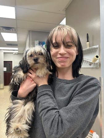 Images VCA All Pet Animal Hospital/Taylorsville