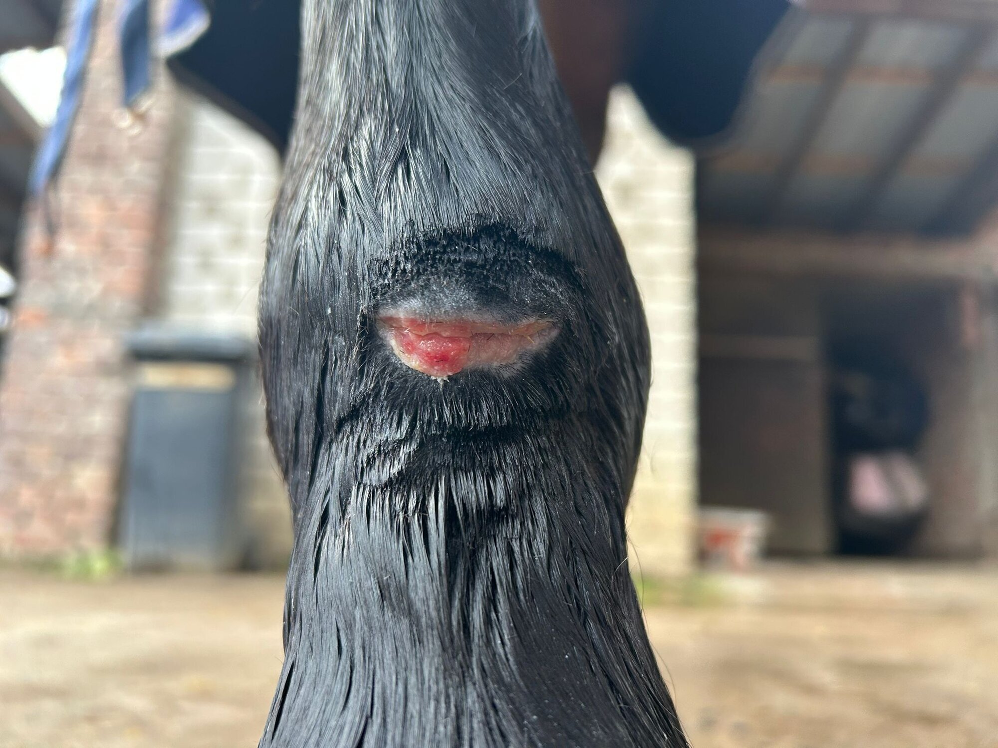 NANO Center CellCare therapie Bioresonanz Daniela Siegmund in Essen