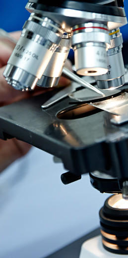 Polyplast Müller GmbH, An der Bleiche 51 in Straelen