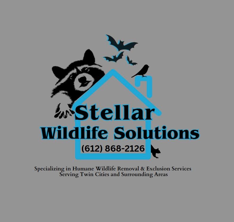 Images Stellar Wildlife Solutions