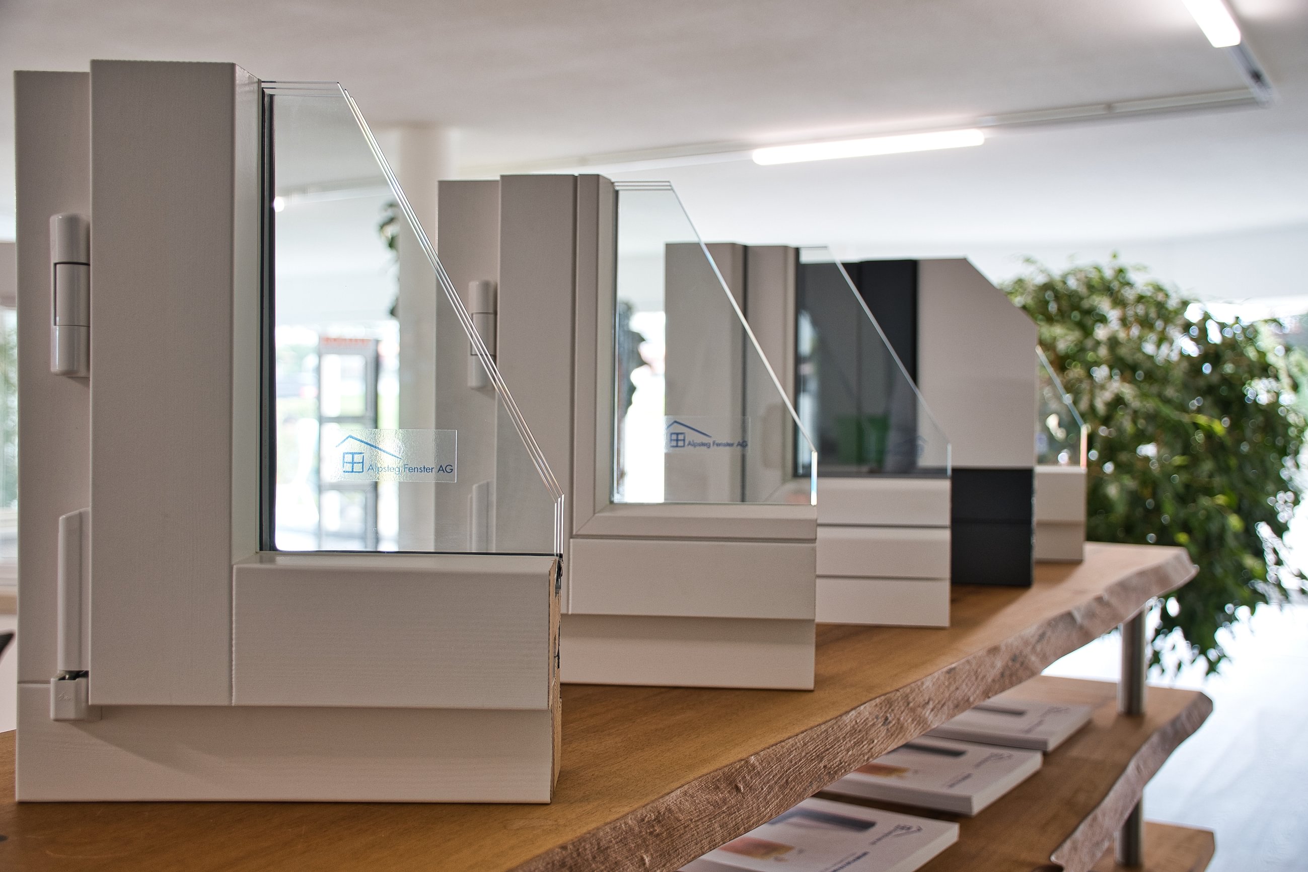 Alpsteg Fenster AG, Lenzhardweg 40 in Niederlenz