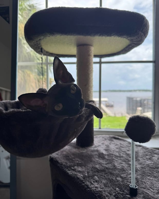 Images Edith Aldrich - State Farm Insurance Agent