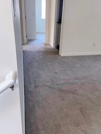 Images Integrity Carpet Care LLC