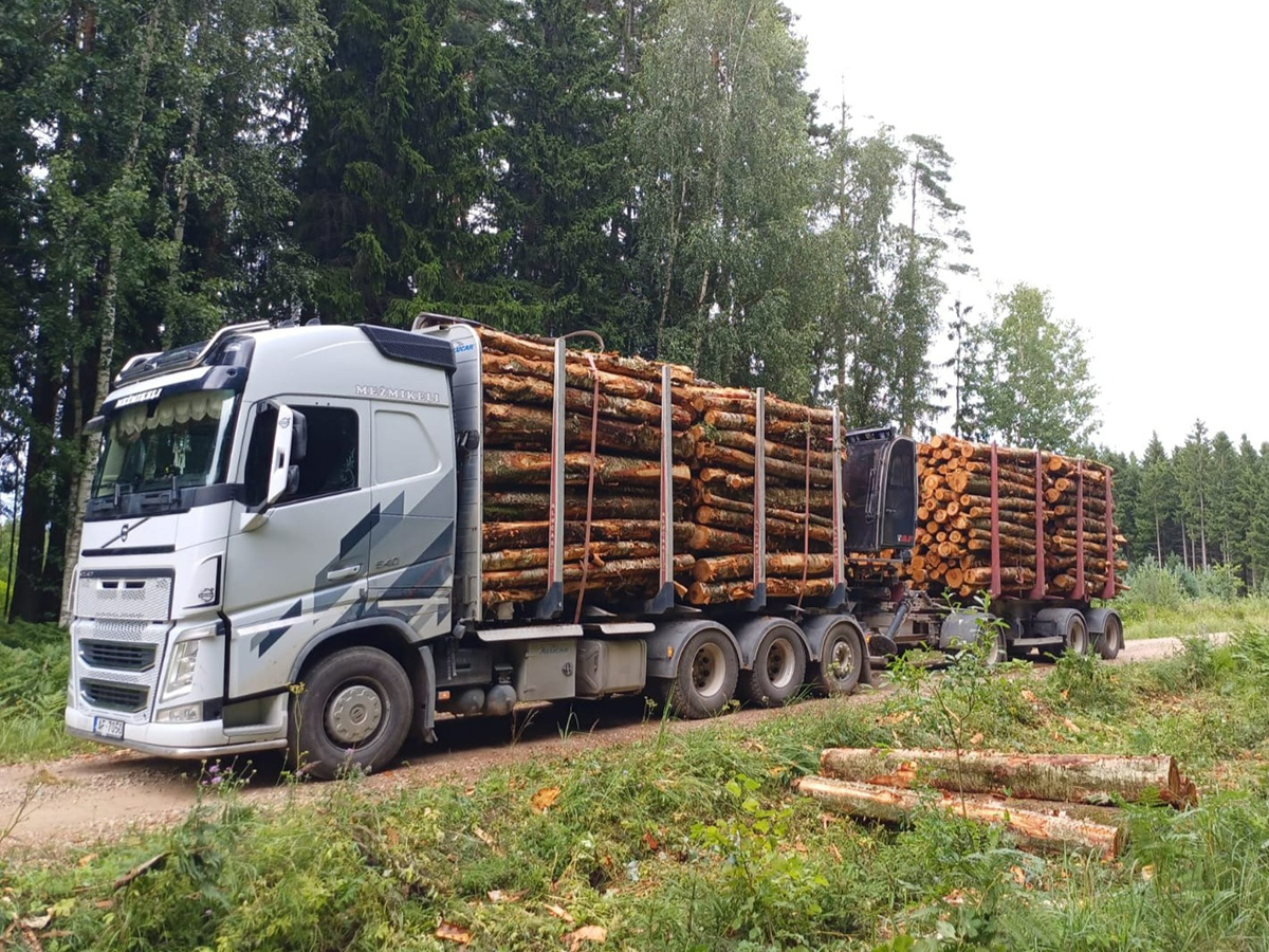 Kvalitatīva koksnes kraušana un šķirošana pieredzējušu speciālistu vadībā.