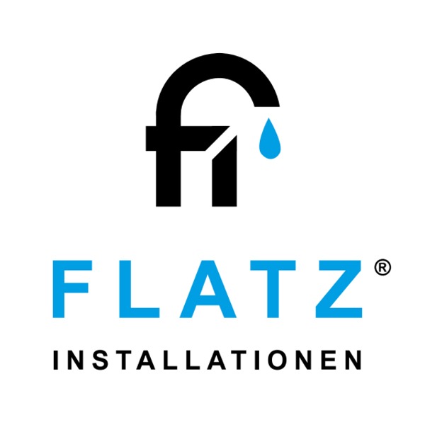 Flatz Installationen e.U., Buch