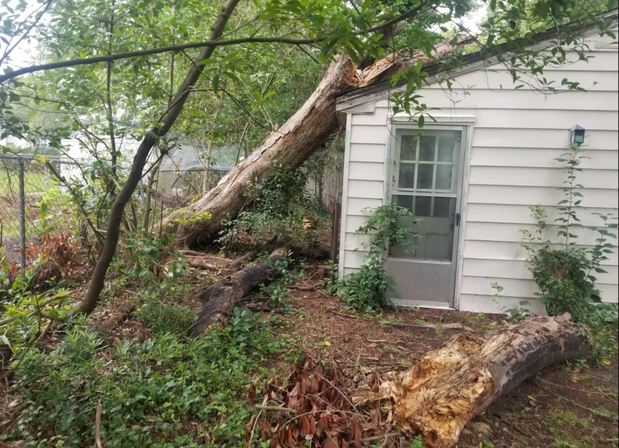 Images Professional Lot Clearing & Tree Service