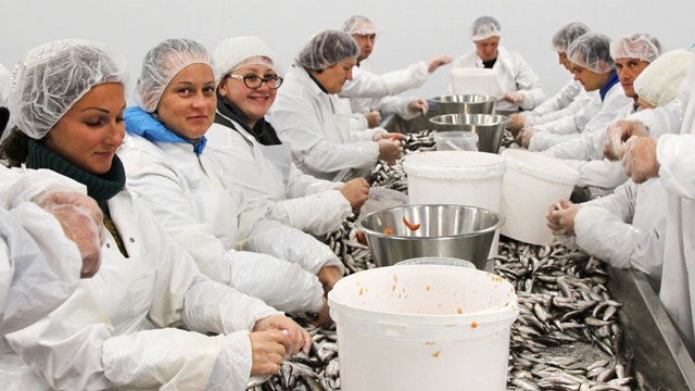 Images Guldhaven Pelagiska AB