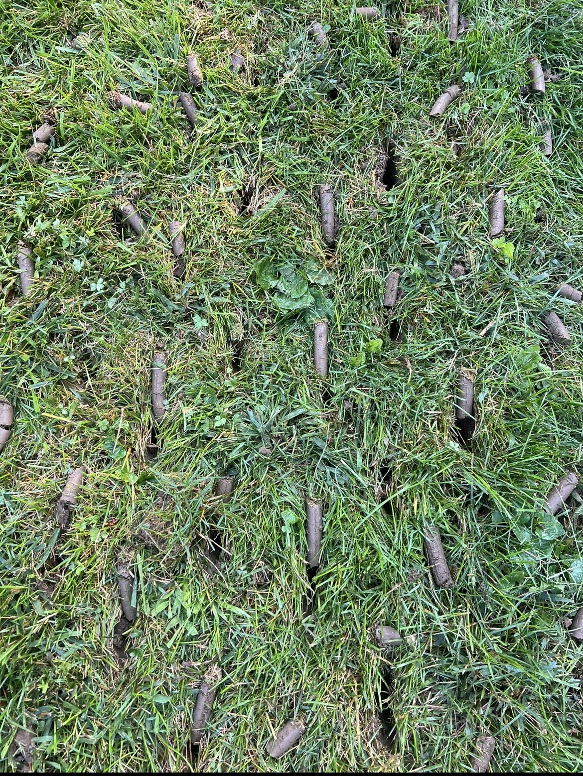 Shepherd's Landscaping Image