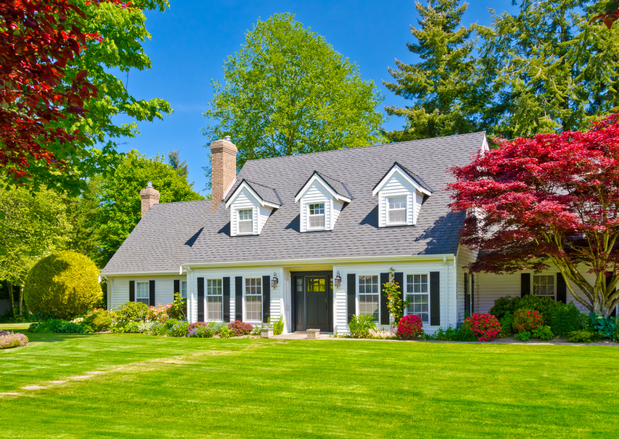 Images Elaine Miller