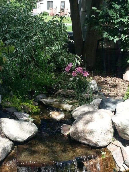 Images Harmony Ponds Inc