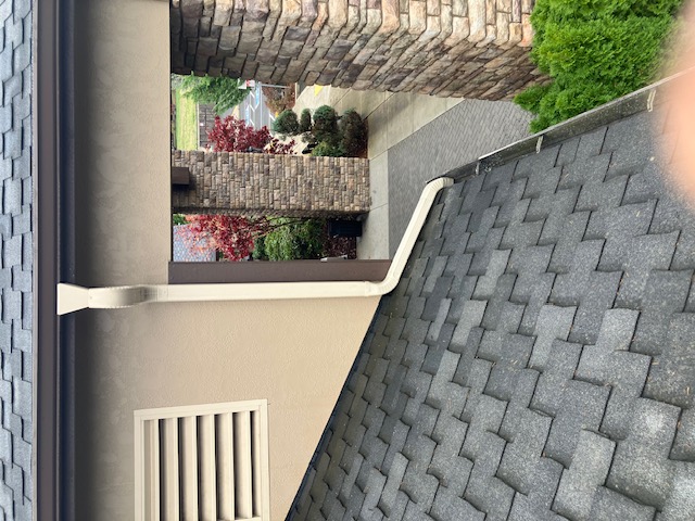 Haupt To It Gutters and Roofs Image