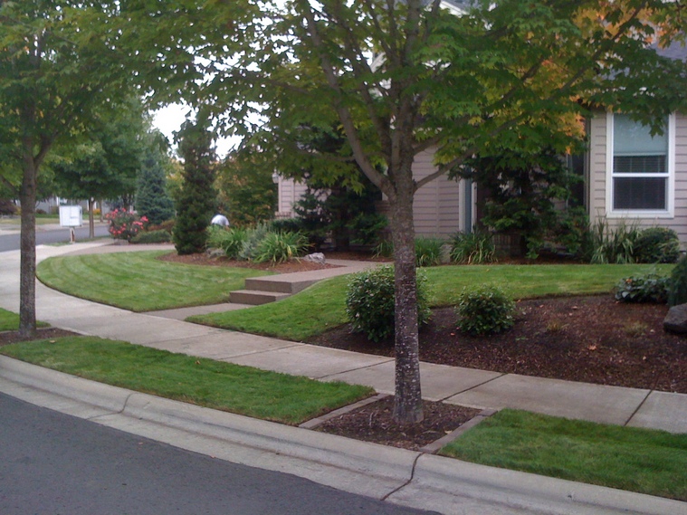 LG Landscape Maintenance Logo