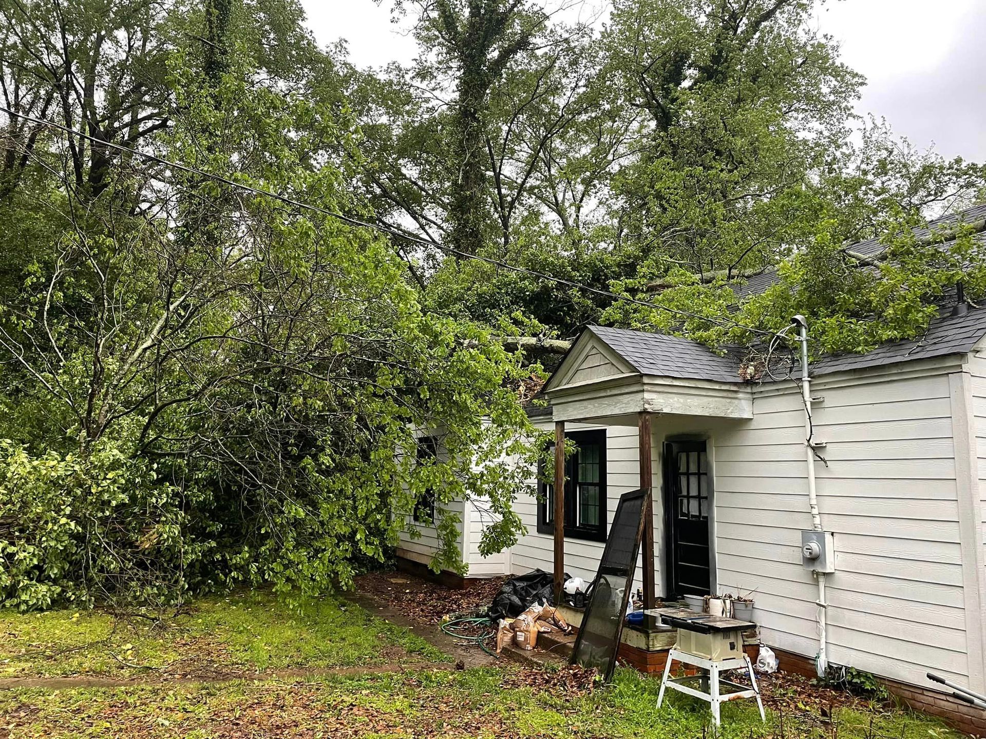 Large fallen tree rests on a residential house roof and yard, causing visible damage, with branches covering the structure, scattered debris, and overcast conditions highlighting storm impact on the property.
