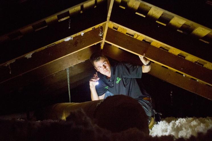 Images Omega Animal Removal Dallas