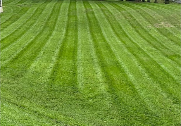 Images Grass Tech Lawn & Landscaping