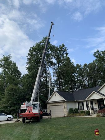 Images Native Tree Care LLC