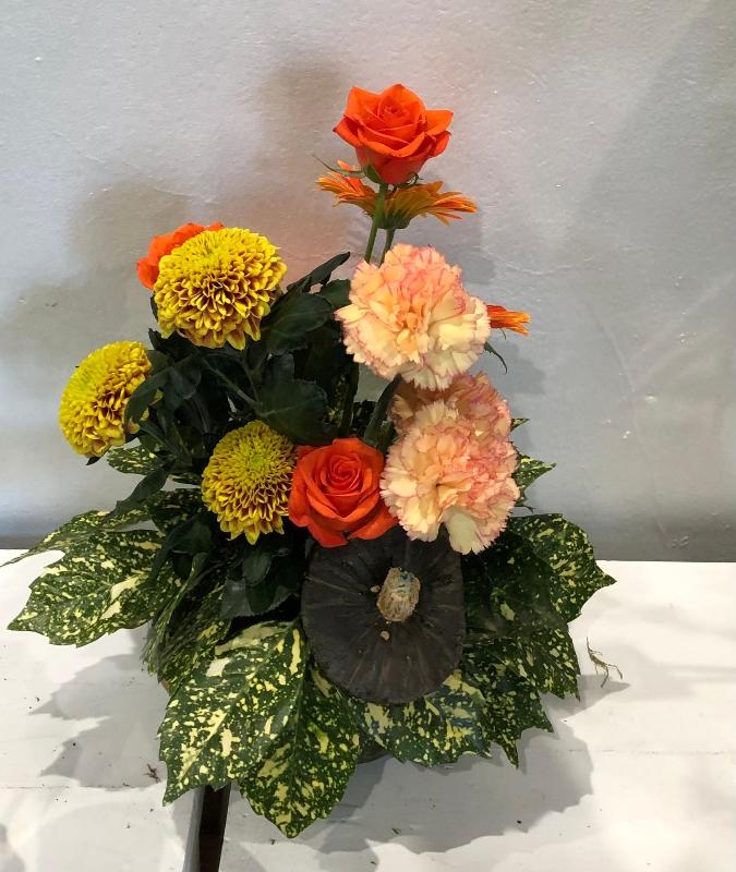 Images Il Giardino Segreto di Radrizzani Sara