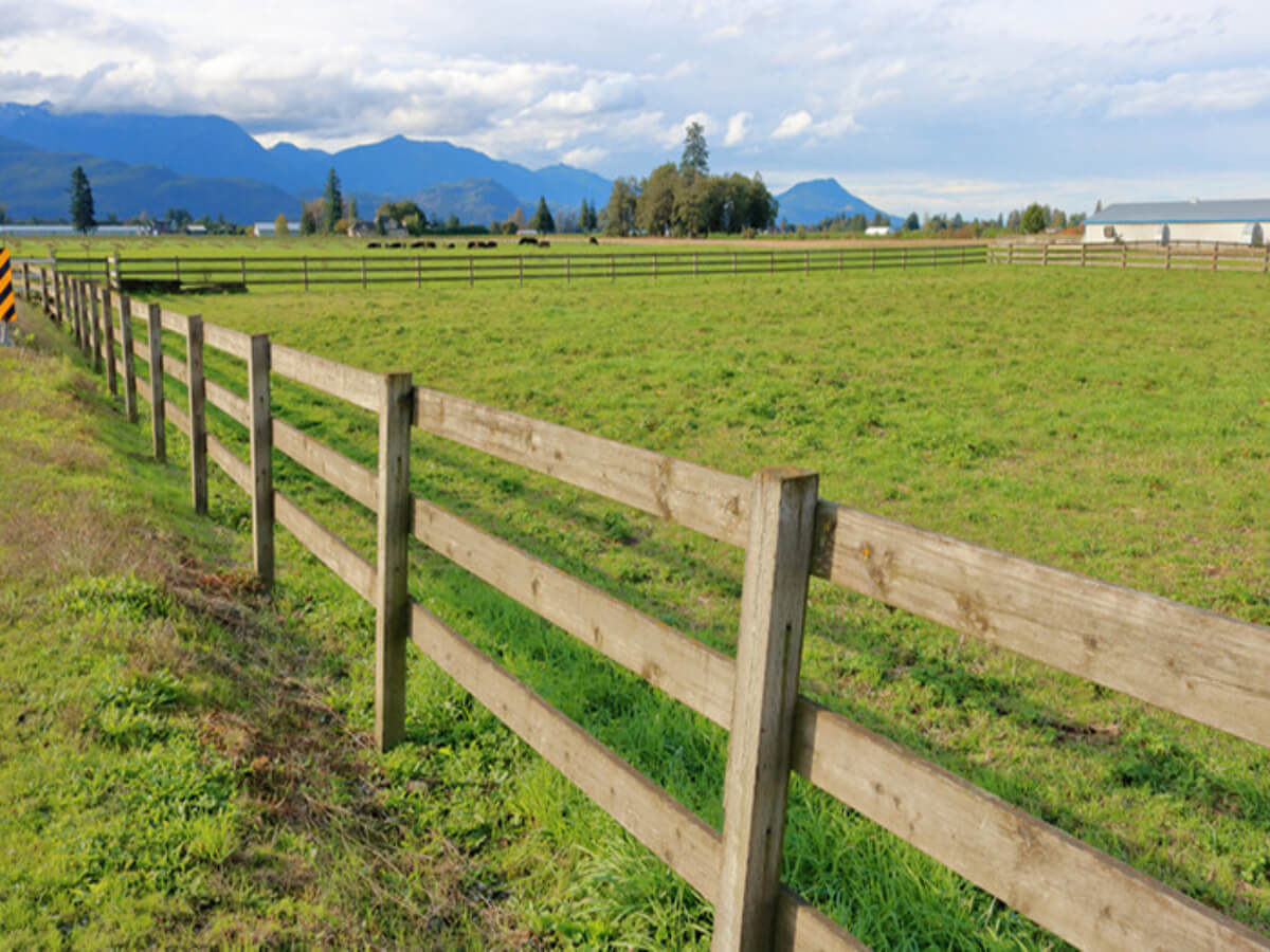 vinyl fence panels