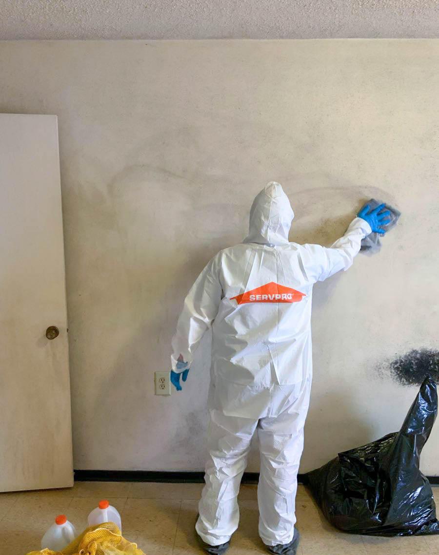 SERVPRO of Carthage/Joplin is a cleaning and restoration company in the Carl Junction, MO area focusing on water damage, fire damage and mold remediation, the cornerstone of our business. Feel free to contact us at anytime. 