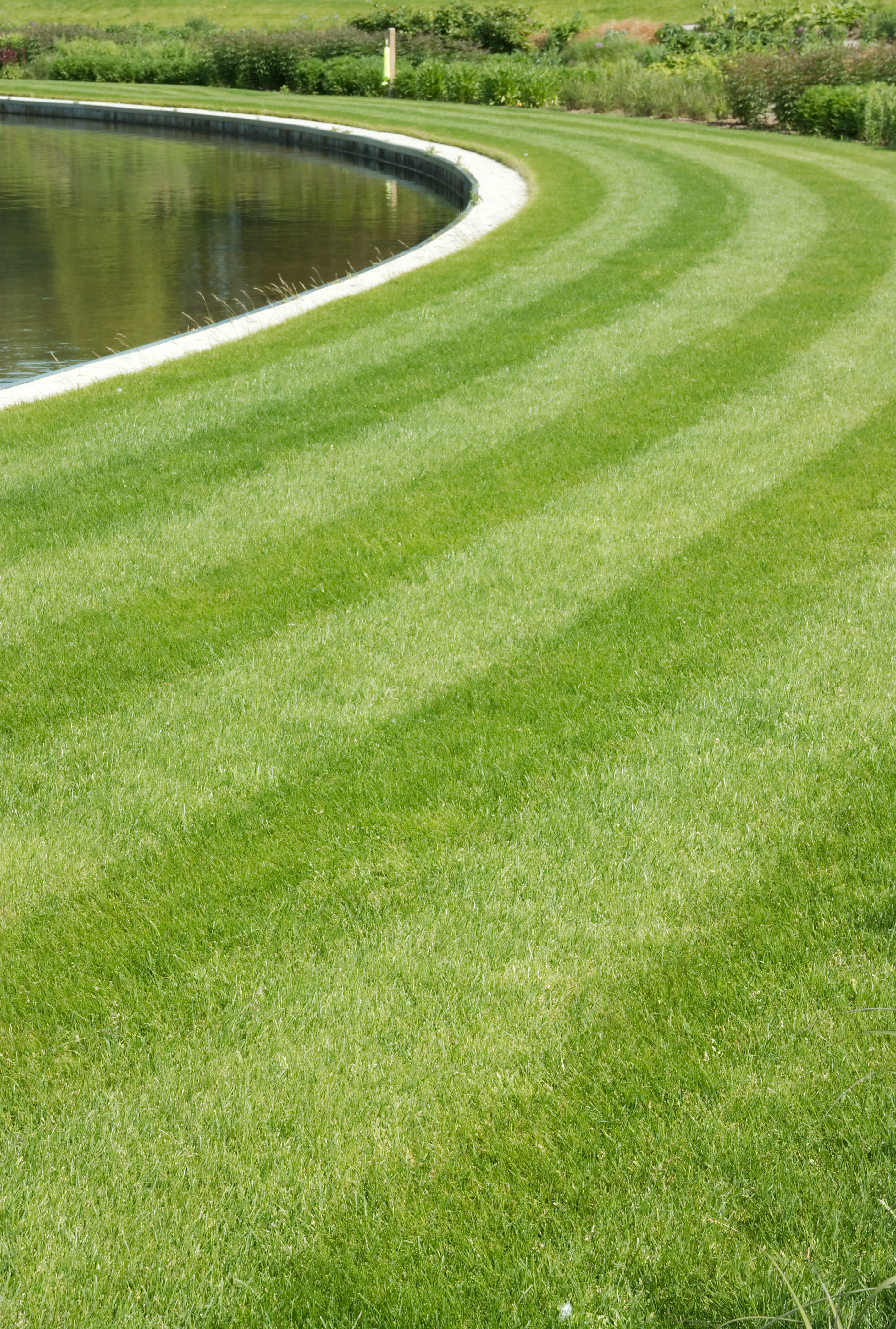 Executive Lawn Care 3