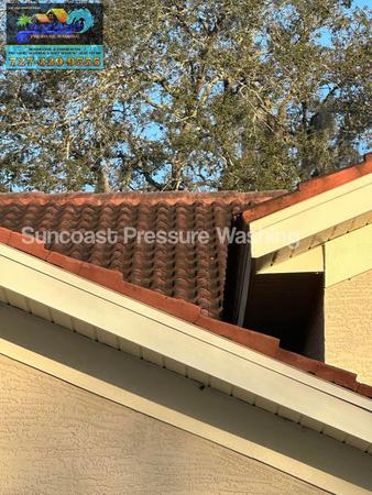Images Suncoast Pressure Washing LLC