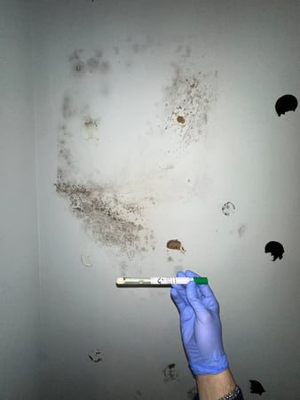Images 24H Mold Inspection of Mission Viejo