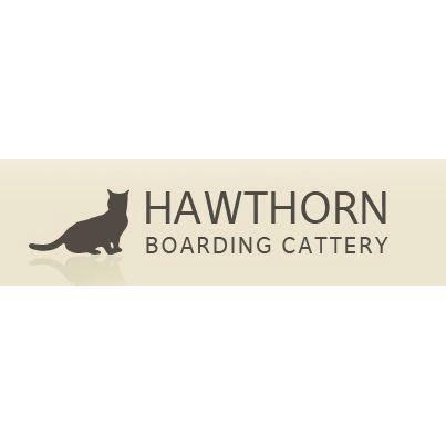 Hawthorn Boarding Cattery Logo