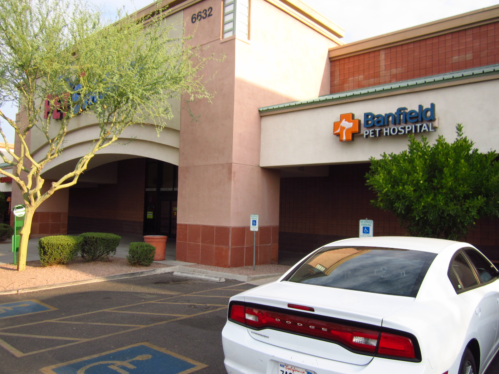 Banfield Pet Hospital® - Mesa North