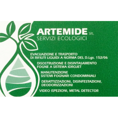 Artemide - Spurgo Fogne e Videoispezione Napoli Logo