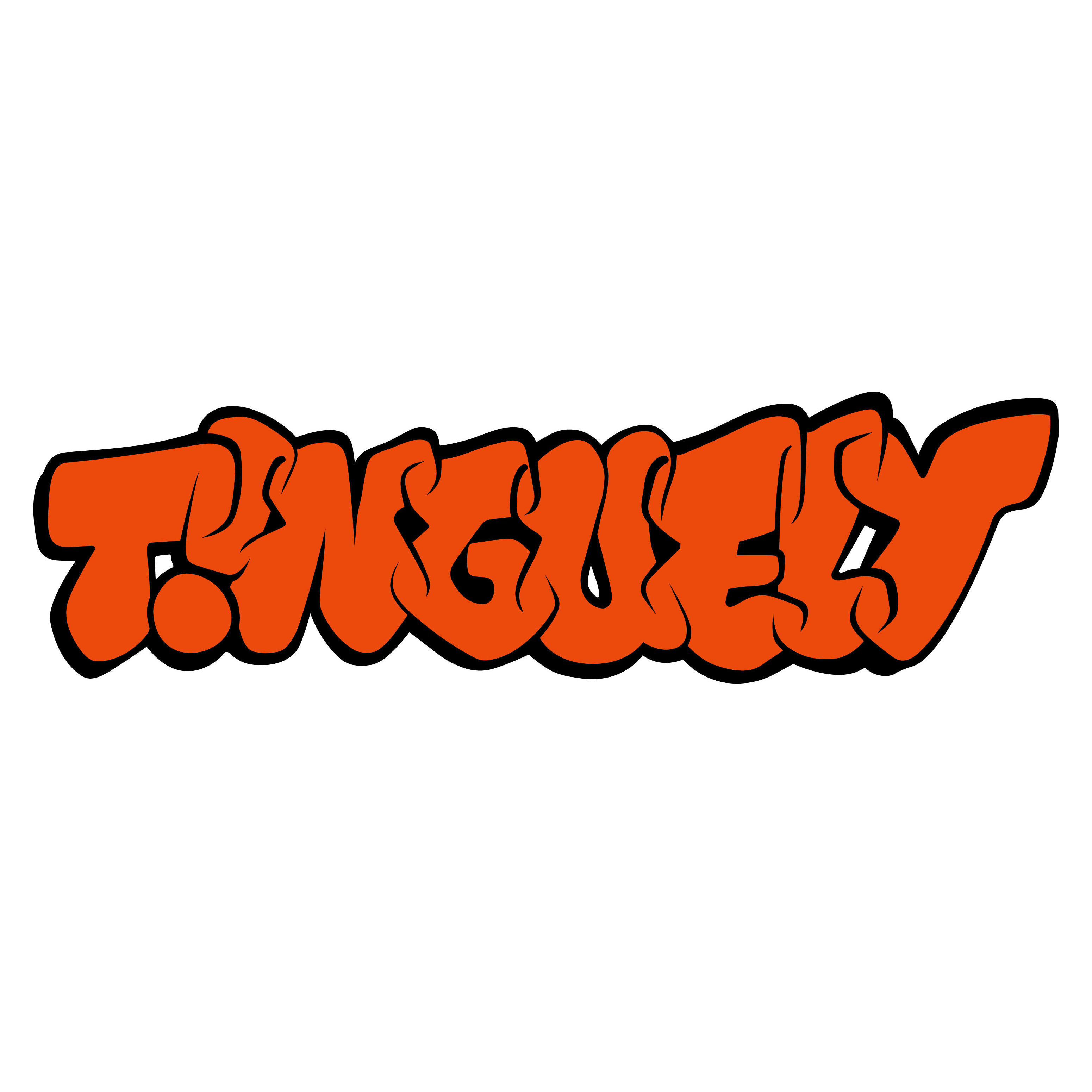 Tinguely Service de Voirie SA Logo