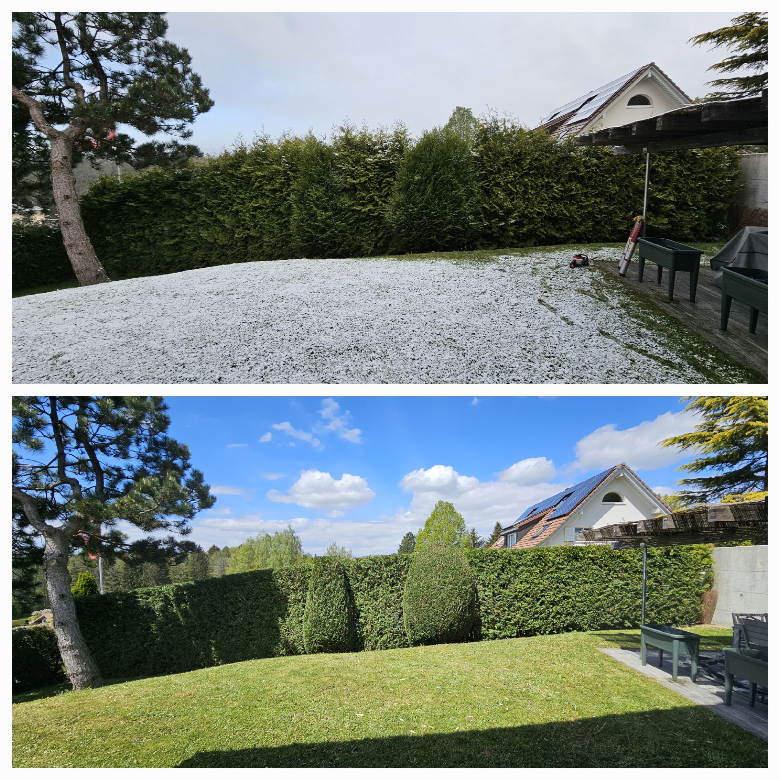 Bilder A'rborescence & Paysage Sàrl